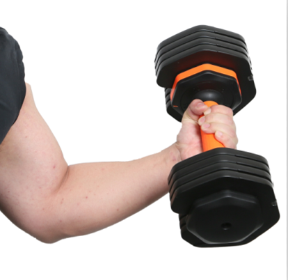 Pondus Dumbbells valde laudatur ex variis idoneitatem Fanaticus