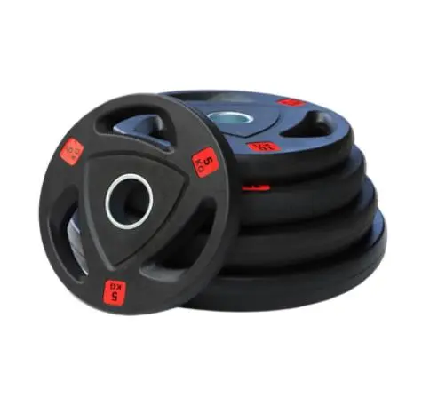 Quam eligere pondus laminas pro domo tua gym