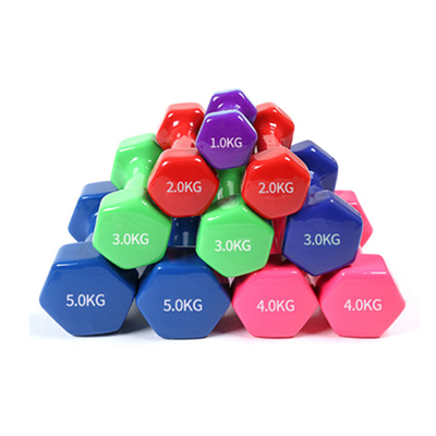 Hexagonal Iron Hex Flexilis Dumbbells